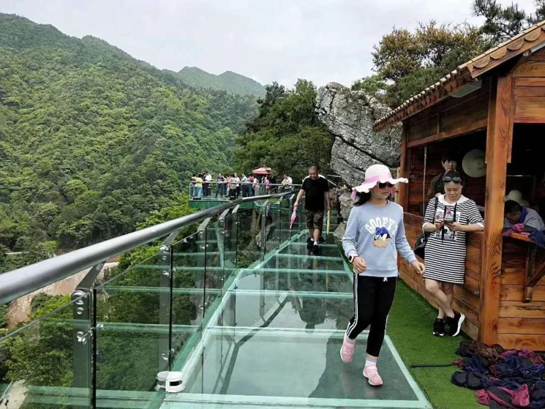 益陽安化?天下茶道、云臺山、茶香花海2日游